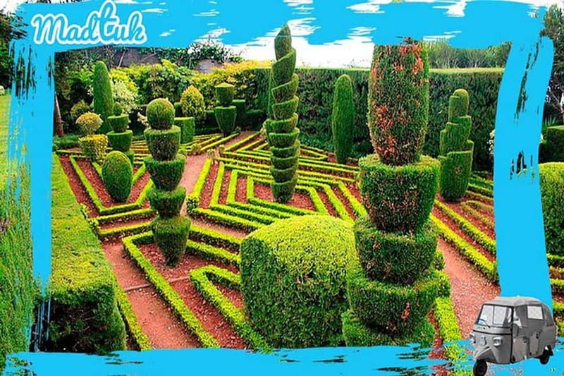 Madeira: Botanical Gardens + Old Town Tuk-Tuk Tour by MadTuk - Key highlights worth knowing