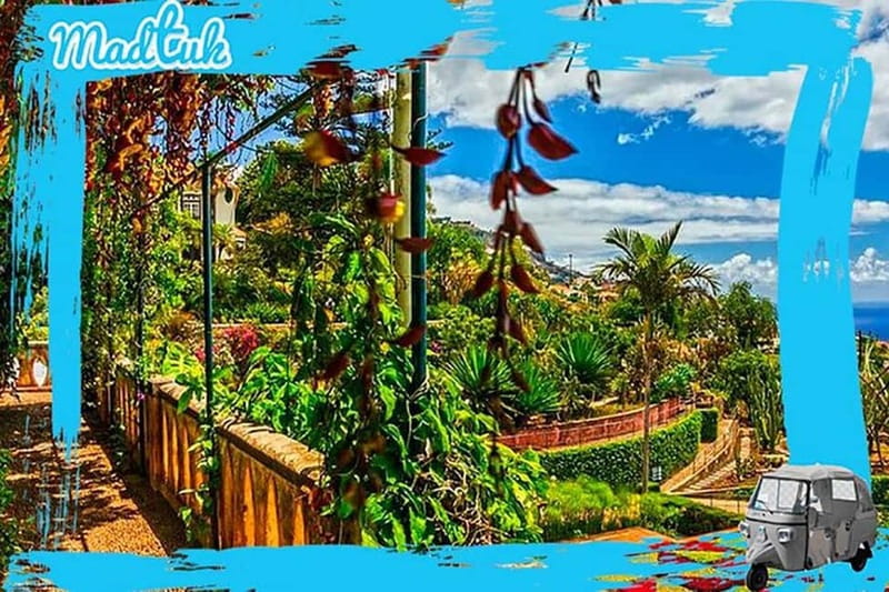 Madeira: Botanical Gardens + Old Town Tuk-Tuk Tour by MadTuk - Why This 1.5-Hour MadTuk Plan Works in Funchal
