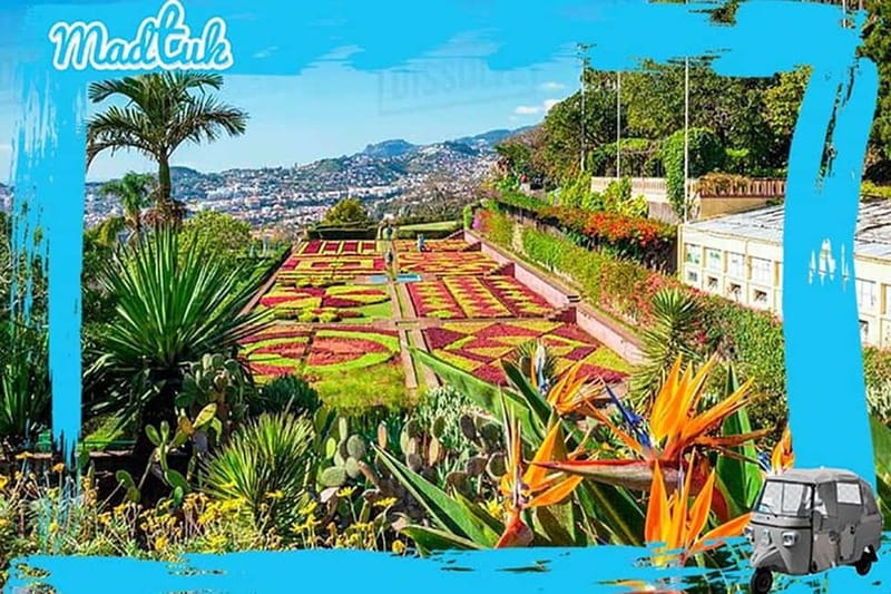 Madeira: Botanical Gardens + Old Town Tuk-Tuk Tour by MadTuk - Your Madeira Botanical Garden Time: Self-Guided Walks and Photo Stops