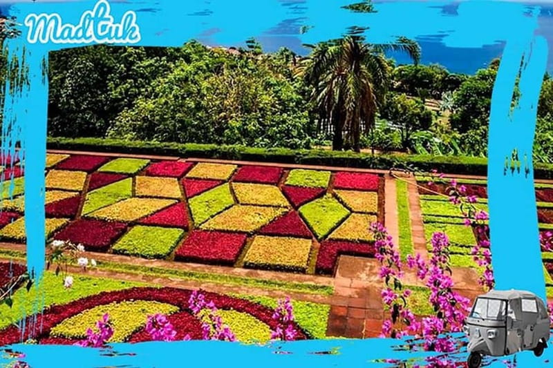 Madeira: Botanical Gardens + Old Town Tuk-Tuk Tour by MadTuk - Comfort Rules, Weight Limits, and Who This Tour Fits