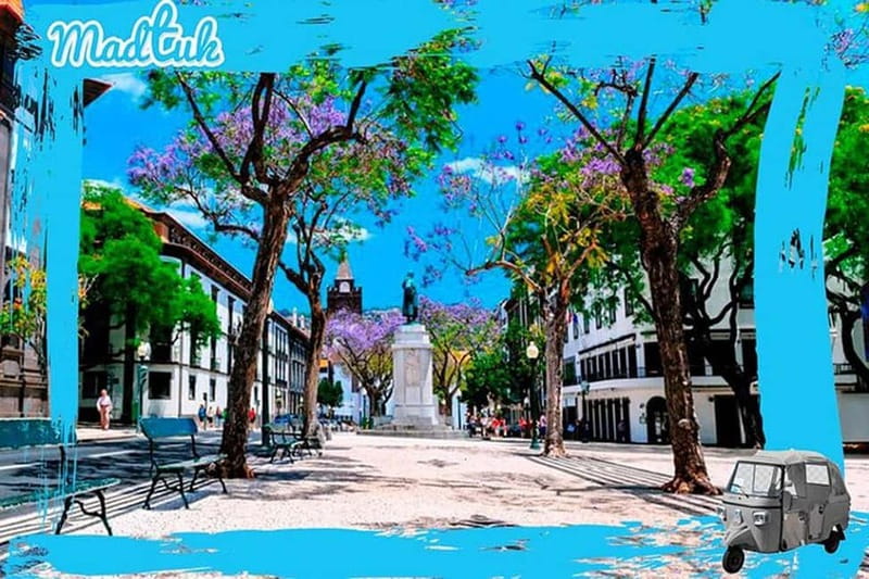 Madeira: Botanical Gardens + Old Town Tuk-Tuk Tour by MadTuk - Should You Book This MadTuk Tour?