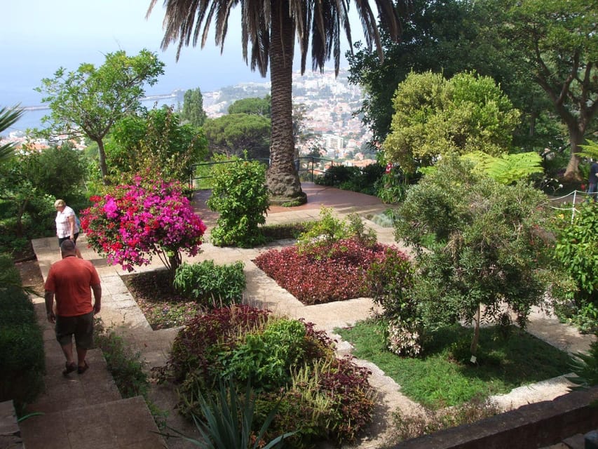 Madeira: Botanical, Monte Palace, and Palheiro Gardens - Key highlights to clock fast