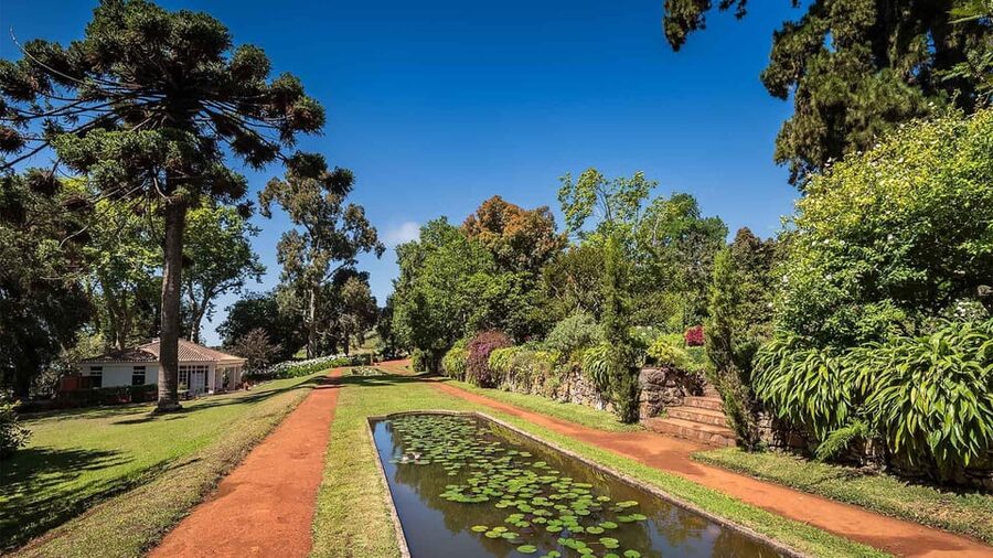 Madeira: Botanical, Monte Palace, and Palheiro Gardens - Palheiro Gardens and the Blandy Wine Family