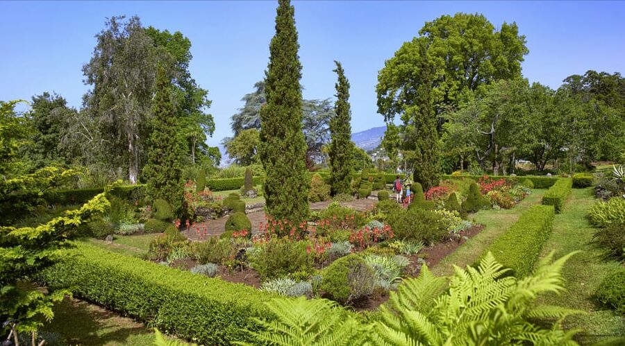 Madeira: Botanical, Monte Palace, and Palheiro Gardens - Price, Value, and What You Still Need to Pay