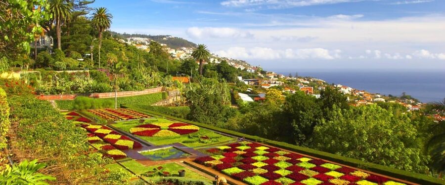 Madeira: Botanical, Monte Palace, and Palheiro Gardens - Should You Book This Botanical Trio?