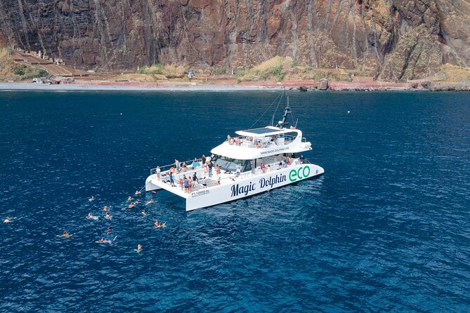 Madeira Dolphin and Whale Watching on a Ecological Catamaran - Key Highlights I Think You’ll Care About