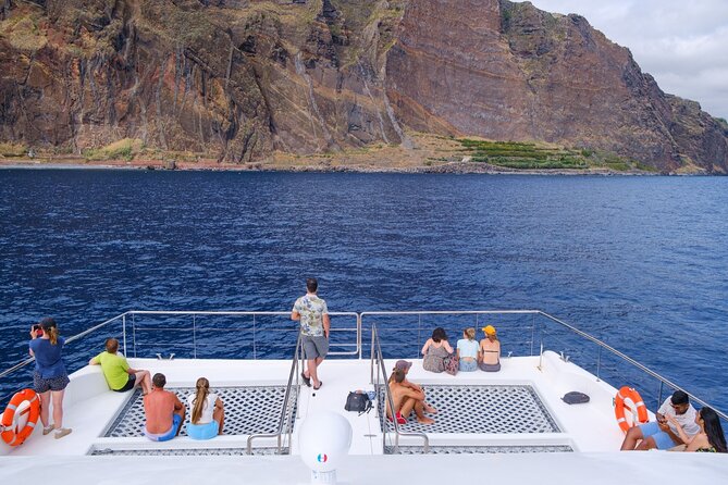 Madeira Dolphin and Whale Watching on a Ecological Catamaran - Why This Eco Catamaran Cruise Works for Dolphins and You