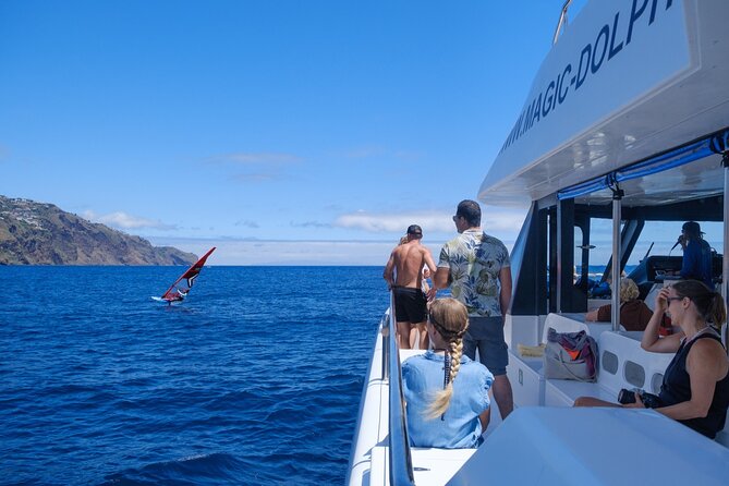 Madeira Dolphin and Whale Watching on a Ecological Catamaran - Cabo Girão, Camara de Lobos, and Reid’s Hotel on the Return