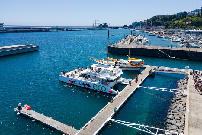 Madeira Dolphin and Whale Watching on a Ecological Catamaran - Practical Tips: Weather, Deck Choice, and What to Pack