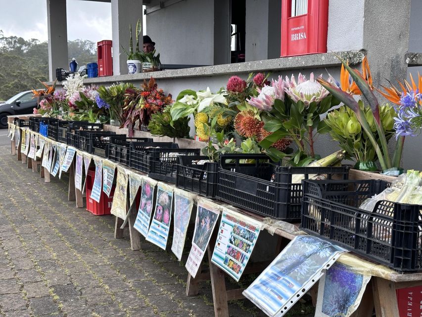 Madeira E-Bike Food Tour – Local Flavours & Scenic Rides - Should You Book the Madeira E-Bike Food Tour?