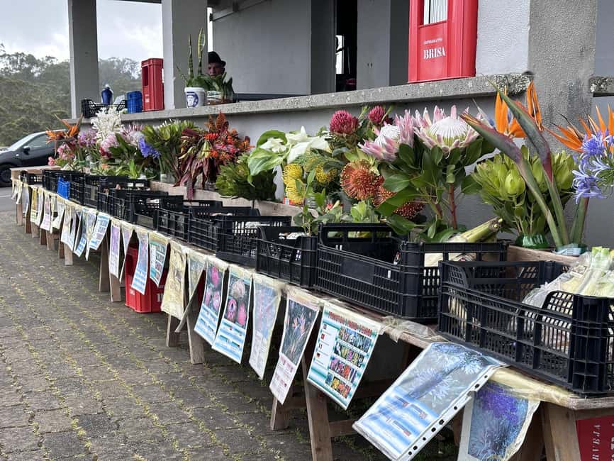 Madeira E-Bike Food Tour – Local Flavours & Scenic Rides - Practical Tips: Cash, What to Wear, and Your Info in Advance