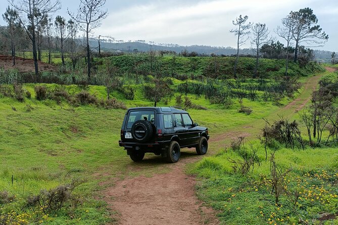 Madeira: Experiência 4WD Skywalk para Seixal Porto Moniz, Fanal - Key Points to Know Before You Go