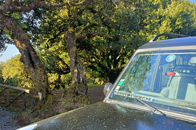 Madeira: Experiência 4WD Skywalk para Seixal Porto Moniz, Fanal - Seixal: Black Sand, Greenery, and a Quick Coastal Glimpse