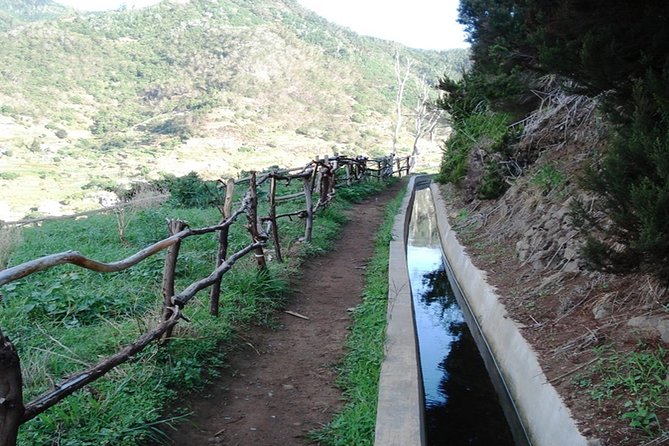 Madeira: Half-Day Private Walking Tour to Levada do Caniçal and Machico - Caniçal to Machico: Why This Levada Walk Feels Right for a Half Day