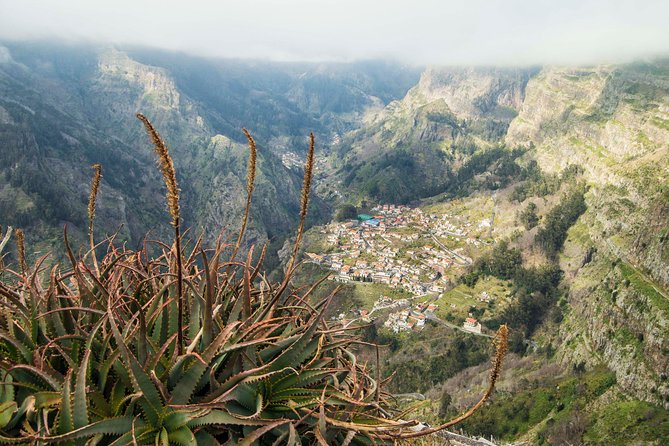 Madeira Half Day Small-Group Tour from Funchal - Guides and the small-group edge: what the best days look like