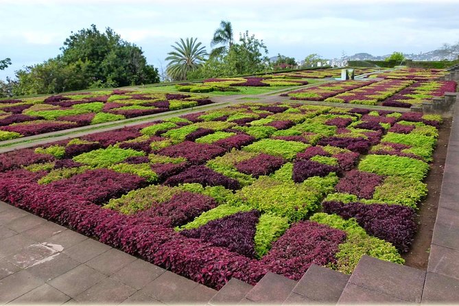 Madeira Highlights: Toboggan, Garden & Cable Car (All-Inclusive) - Timing, Duration, and What 3 to 4 Hours Really Covers