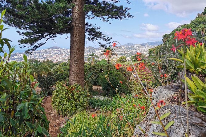 Madeira Highlights: Toboggan, Garden & Cable Car (All-Inclusive) - Price and Value: When $199 Makes Sense