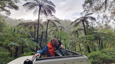 Madeira in one day: Funchal & Eastern Highlights