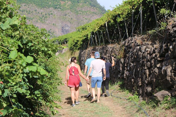 Madeira Island Private Wine Full-day Tour in all terrain vehicle - Estreito de Câmara de Lobos: a quick hit of terraced wine country