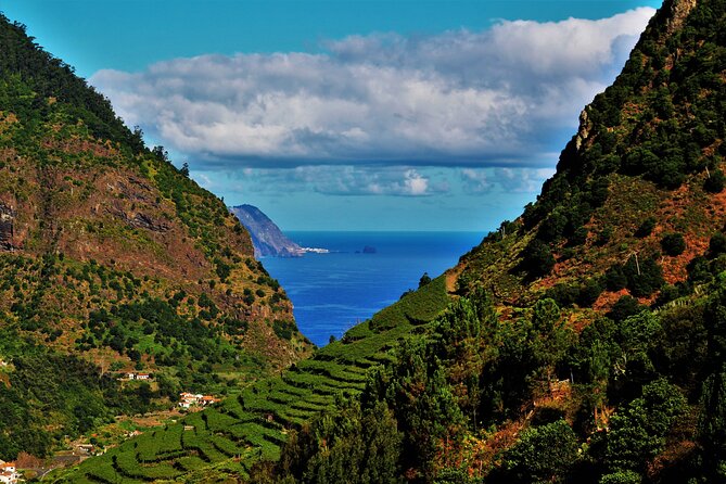 Madeira Island Private Wine Full-day Tour in all terrain vehicle - The 4x4 ride: Nissan Patrol vs Land Rover Discovery