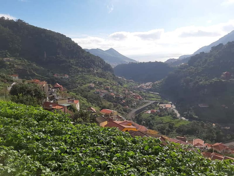 Madeira: Levada dos Maroços Hike - Key Highlights You Should Care About