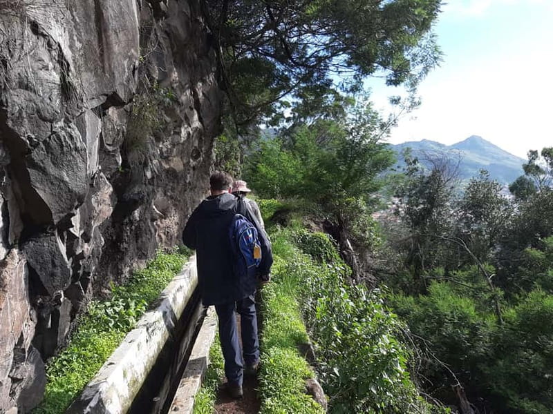 Madeira: Levada dos Maroços Hike - Entering The Levada: Why Maroços Is Worth Your Time