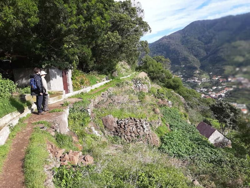 Madeira: Levada dos Maroços Hike - Tunnels, Fauna, and Working Farmland Moments