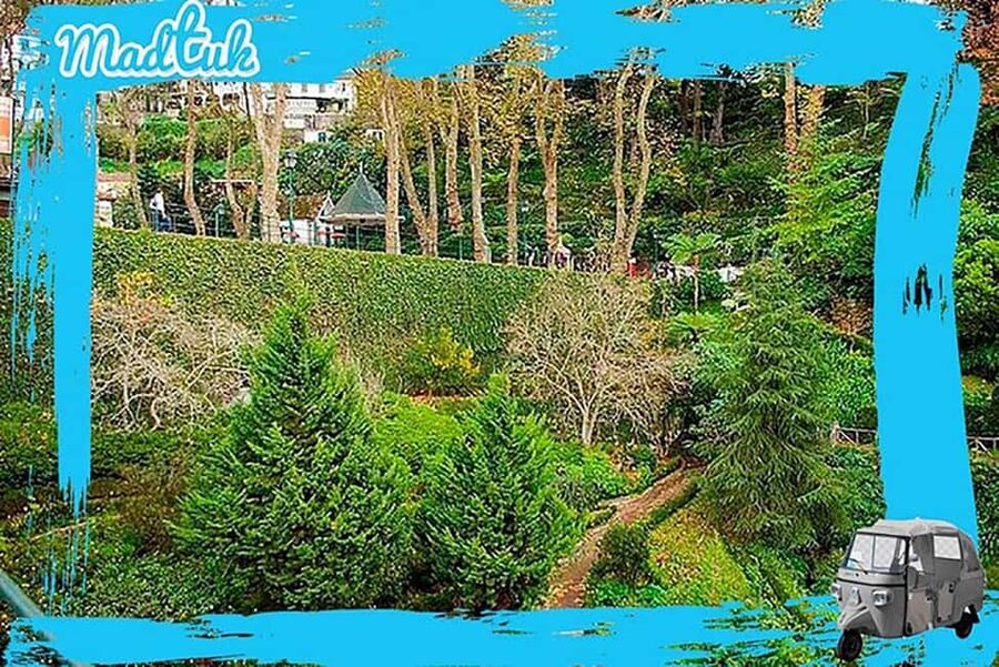 Madeira: Monte Toboggan & Old Town Guided Tuk Tour by MadTuk - Key things I’d watch for