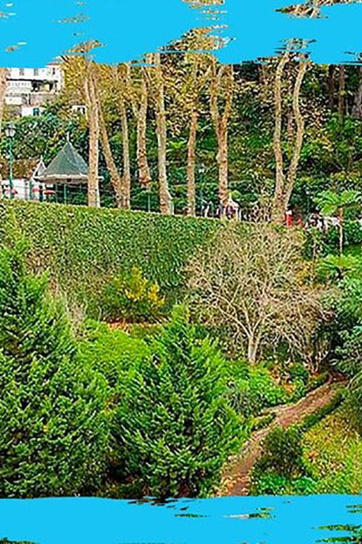Madeira: Monte Toboggan & Old Town Guided Tuk Tour by MadTuk - The main event: traditional toboggans, tickets, and real queue timing