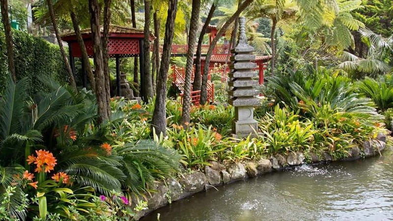 Madeira: Monte Tropical Garden + Old Town Tuk Tour by MadTuk - Tuk-Tuk in Funchal, the practical way to reach Monte