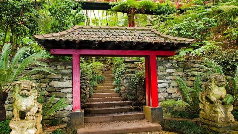 Madeira: Monte Tropical Garden + Old Town Tuk Tour by MadTuk - Old Town passing by, plus a farmers market pause in Funchal