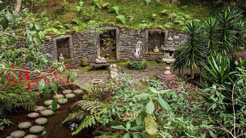 Madeira: Monte Tropical Garden + Old Town Tuk Tour by MadTuk - Price and value: what you get for about $56 per person
