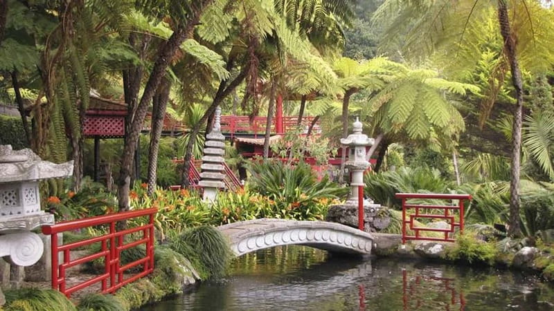 Madeira: Monte Tropical Garden + Old Town Tuk Tour by MadTuk - Timing, weather, and the couple of real-world limits to know
