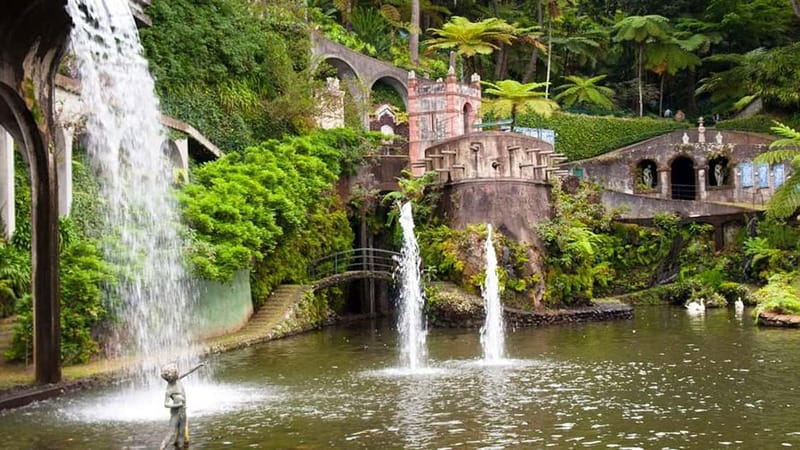 Madeira: Monte Tropical Garden + Old Town Tuk Tour by MadTuk - Who should book this tuk-tuk Monte tour