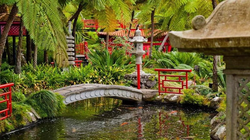 Madeira: Monte Tropical Garden + Old Town Tuk Tour by MadTuk - Should you book MadTuk’s Monte Tropical Garden and Old Town tuk tour?