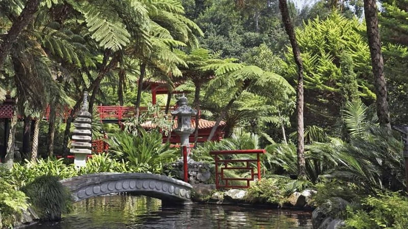 Madeira: Monte Tropical Garden + Old Town Tuk Tour by MadTuk - The climb to Mt. Monte and why the altitude changes everything