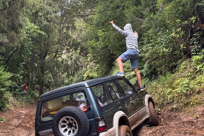 Madeira Off-Road 4x4 Jeep Adventure Private Full day Tour - Key things I’d focus on before booking
