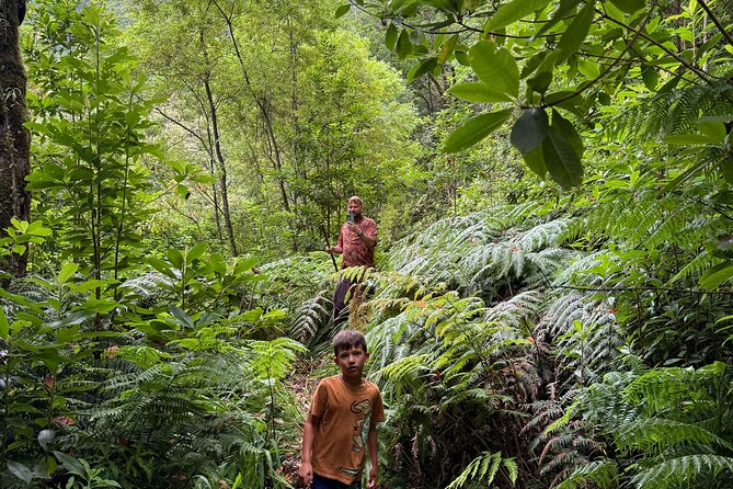 Madeira Off-Road 4x4 Jeep Adventure Private Full day Tour - What real off-road changes for your view of Madeira