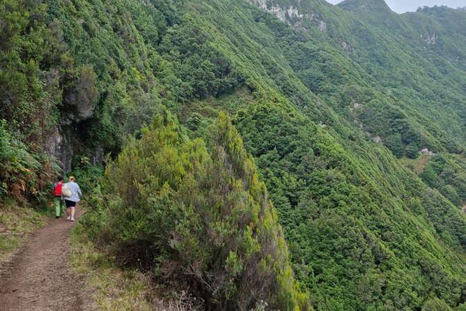 Madeira Porto da Cruz to Machico Self Hiking Tour with Transfer - What the 3-Hour Hike Really Delivers