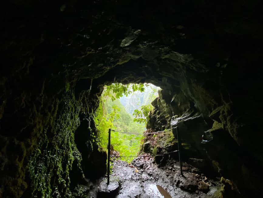 Madeira: PR 9 - Levada do Caldeirão Verde Hike Transfer - Key highlights you will care about