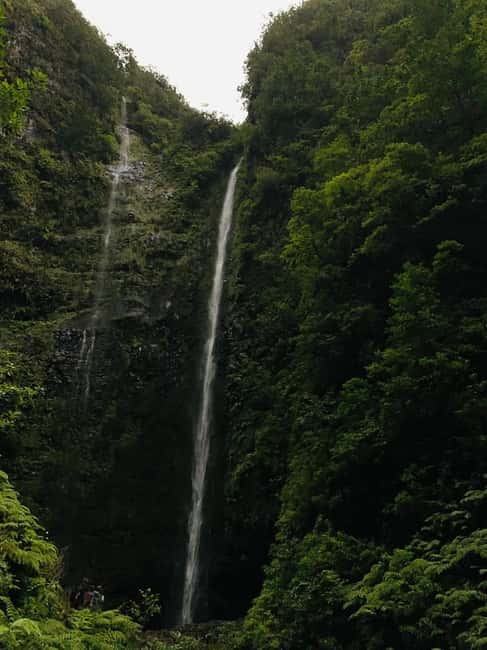 Madeira: PR 9 - Levada do Caldeirão Verde Hike Transfer - Gear and trail-smart habits for a wet tunnel hike