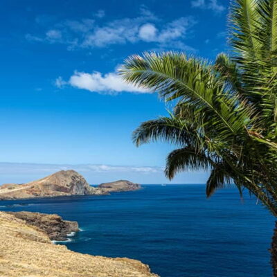 PR8 -Ponta de São Lourenço Natural Reserve Transfer