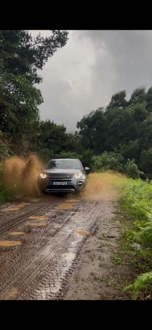 Madeira: Premium 4x4 Adventure Tour - Stops you will actually care about: viewpoints, photo freedom, and short walks