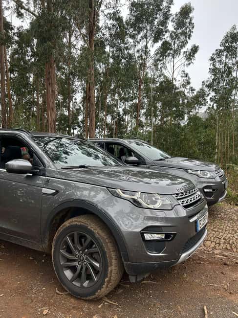 Madeira: Premium 4x4 Adventure Tour - Practical comfort rules and who should skip this tour
