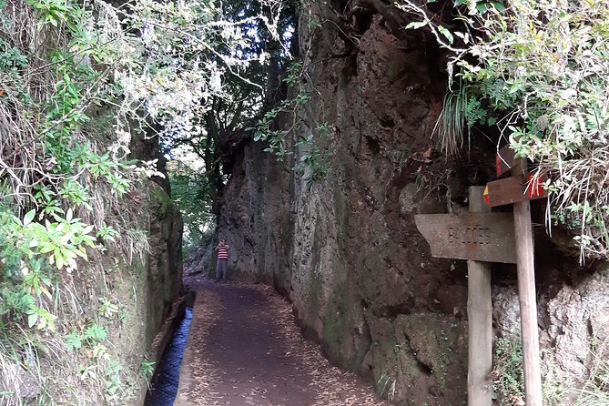 Madeira: Private 1.5-Kilometer Levada dos Balcões Hike PR11 - UNESCO Laurel Forest: How to Look Like You Know It
