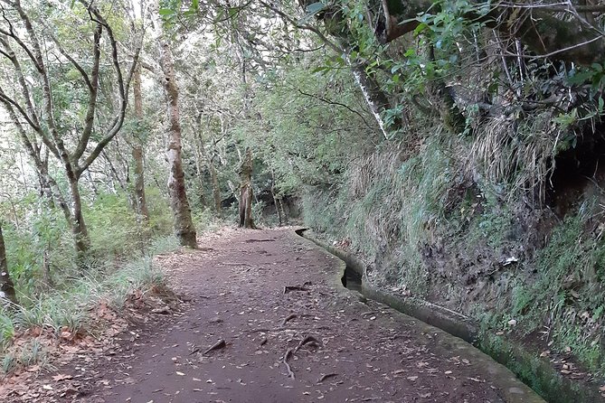Madeira: Private 1.5-Kilometer Levada dos Balcões Hike PR11 - Ribeiro Frio to Balcões: What You Actually Do on the Trail
