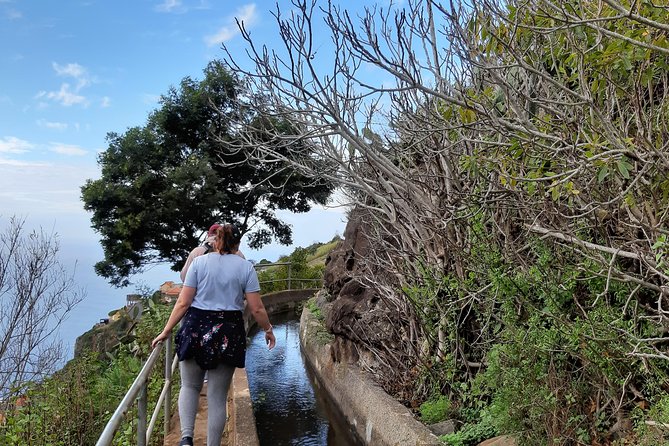 Madeira: Private Guided Levada do Norte Walk - Levada do Norte on Madeira: what the walk feels like