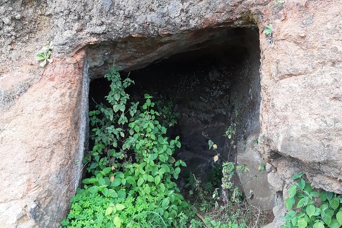 Madeira: Private Guided Levada do Norte Walk - Price versus experience: who gets the best deal