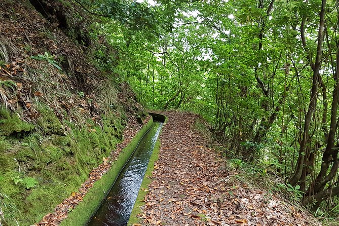 Madeira: Private Guided Levada dos Tornos Boaventura Hike - Key points before you go