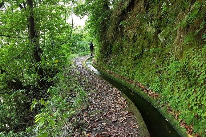 Madeira: Private Guided Levada dos Tornos Boaventura Hike - Levada dos Tornos and the north-to-south water job